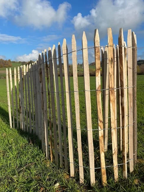 Ganivelle en châtaignier sciée 1,50 m – Écart 4/5 cm – Rouleau 10 m